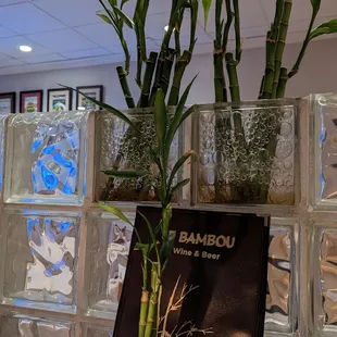 bamboo plants in vases on a table