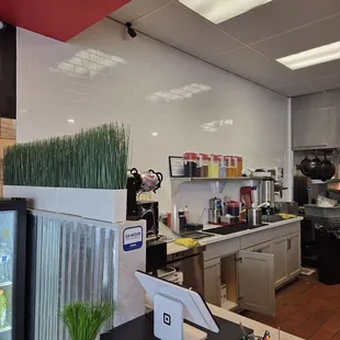 interior, sushi and sashimi