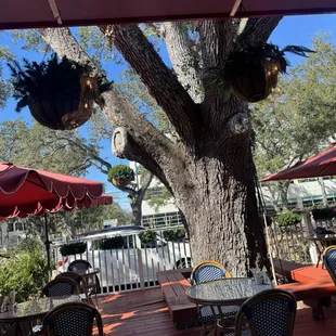 Outside patio is pleasant.