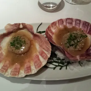 Bay Scallop-Sea Urchin