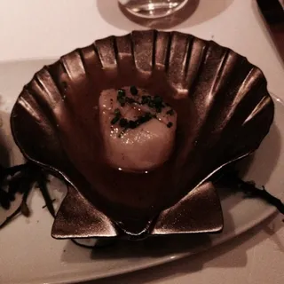 Scallop