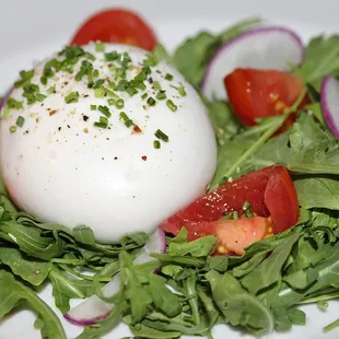 The Burrata was made with Cow&apos;s Milk Burrata, Wild Arugula, Passion Fruit Dressing &amp; Campari Tomatoes.