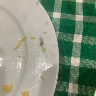 Truite Amandine Dinner (rainbow trout) with loads of bones, of which these are only a small fraction from just a few bites of fish.