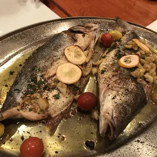 Grill bronzini fish was great