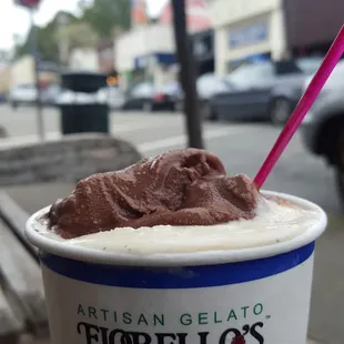 MIXED Chocolate &amp; Vanilla Bean Gelato
