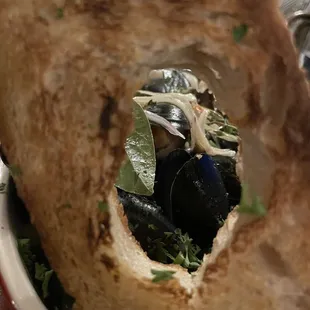 Mussels
