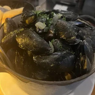 Mussels