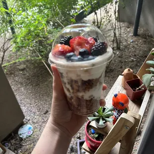 The housemaid granola to go