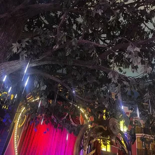 a stage and a tree in the background