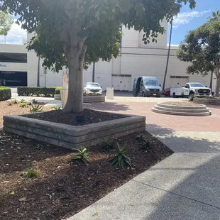 Delivery only zone, you can prob park here