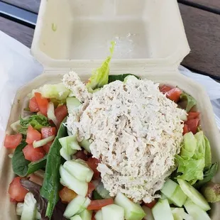 Side Garden Salad with yummy Tuna,,healthy and so good.