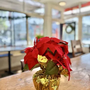 Holiday red