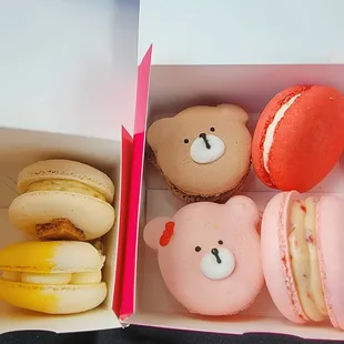 dessert, food, cupcakes