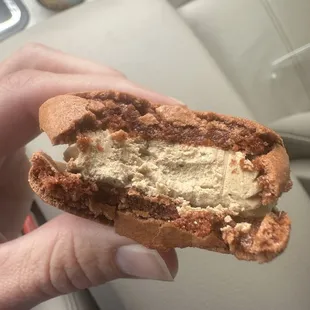 Salted Caramel Macaron