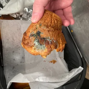 Moldy Muffin