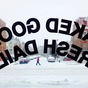 March 3rd 2014. All of Columbia Heights is lovingly frosted!