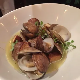 Manila clams