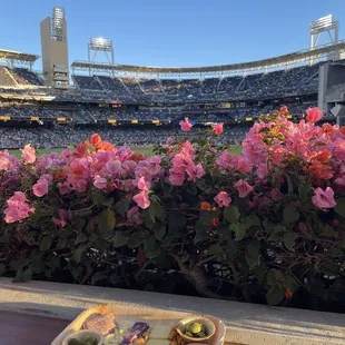 @ the ballgame with Charcuterie board