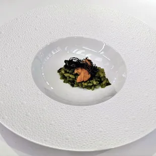 08/05/22 Hokkaido Uni, Risotto, Kombu, Plankton