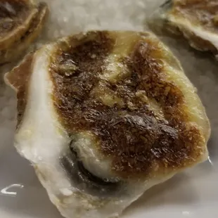 A special oyster