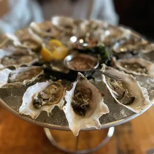 Dozen oysters