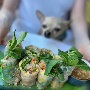 These veggie spring rolls are a must.