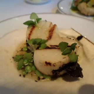 Saint Jacques et truffe noire en contre saison