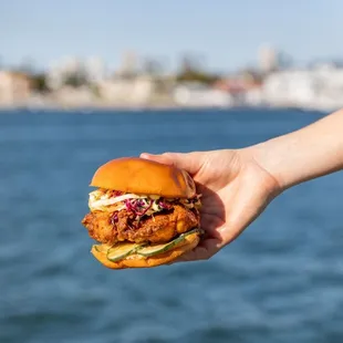 Fried Chicken Sandwich