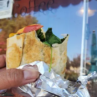 burrito, burritos and wraps, food, wraps