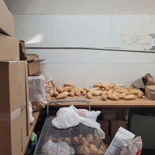 a bakery with a lot of doughnuts