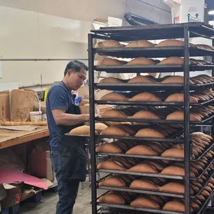 Oven baked croissants right off the rack