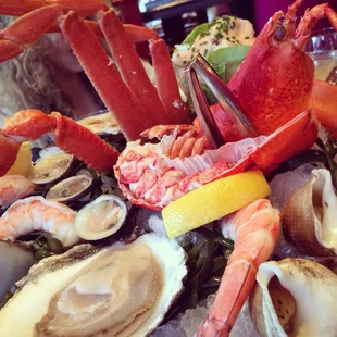 oysters, shellfish, mussels, oysters and mussels, food