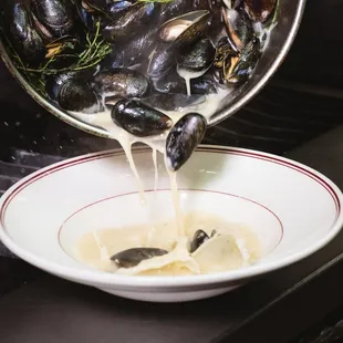oysters, food, oysters and mussels, mussels, shellfish