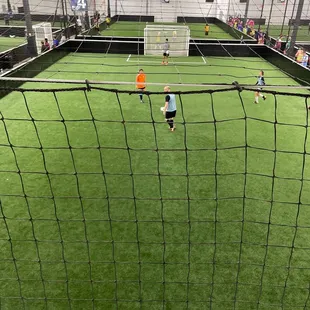 Field 4