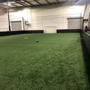 Field