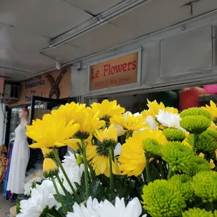 Pickin' up some flowers..........