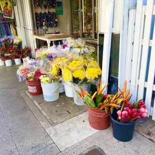 Great flowers King &amp; University st.