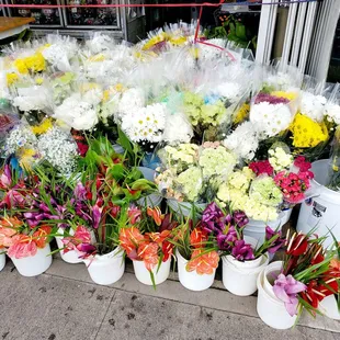 Lots of flower selection, and if you need a lei, they have that too.