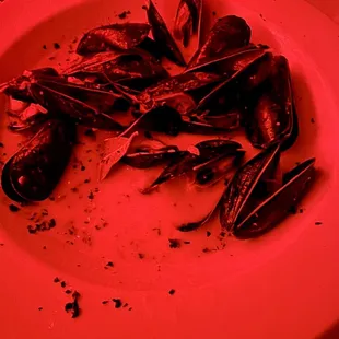 oysters and mussels, food