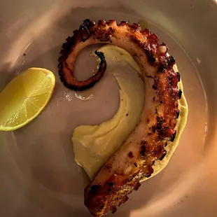 Grilled Octopus