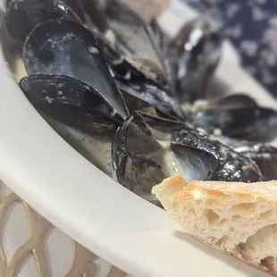 Mussels in a Cream Sauce served with Baguette