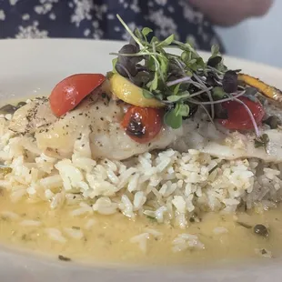 Grouper over Rice (I don't remember how it was listed on the menu)