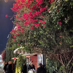 Entrance line behind the velvet rope