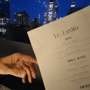 Menu and view