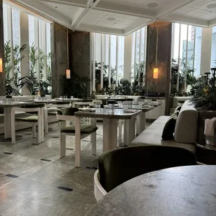 Great place to eat! Plants and lights make people comfortable!