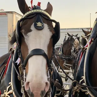 Say Cheese!! Photobombed by his buddy! LOL