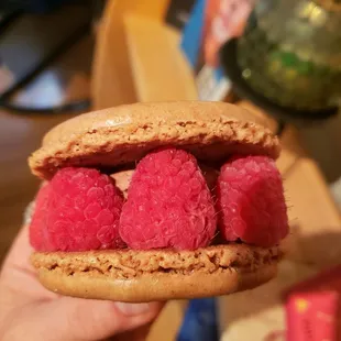 Chocolate raspberry mini macron cake