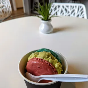 Macaron ice cream sandwich with pistachio gelato