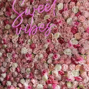 Back drop for a cute photo op