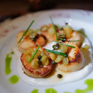 Scallops